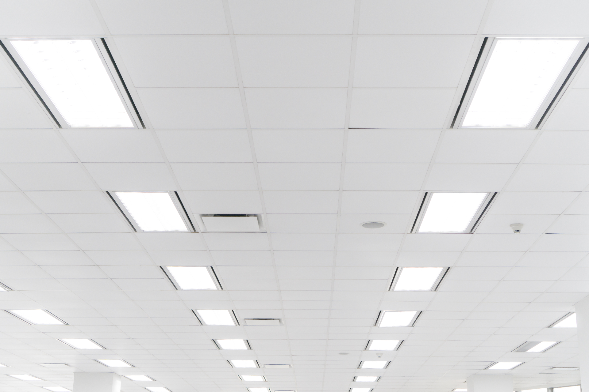Ceiling Repairs and Replacement: Suspended Ceilings, Water Damage, and Make Good Standards