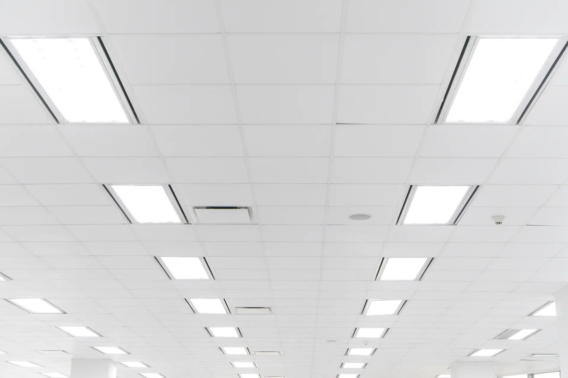 Ceiling Repairs and Replacement: Suspended Ceilings, Water Damage, and Make Good Standards