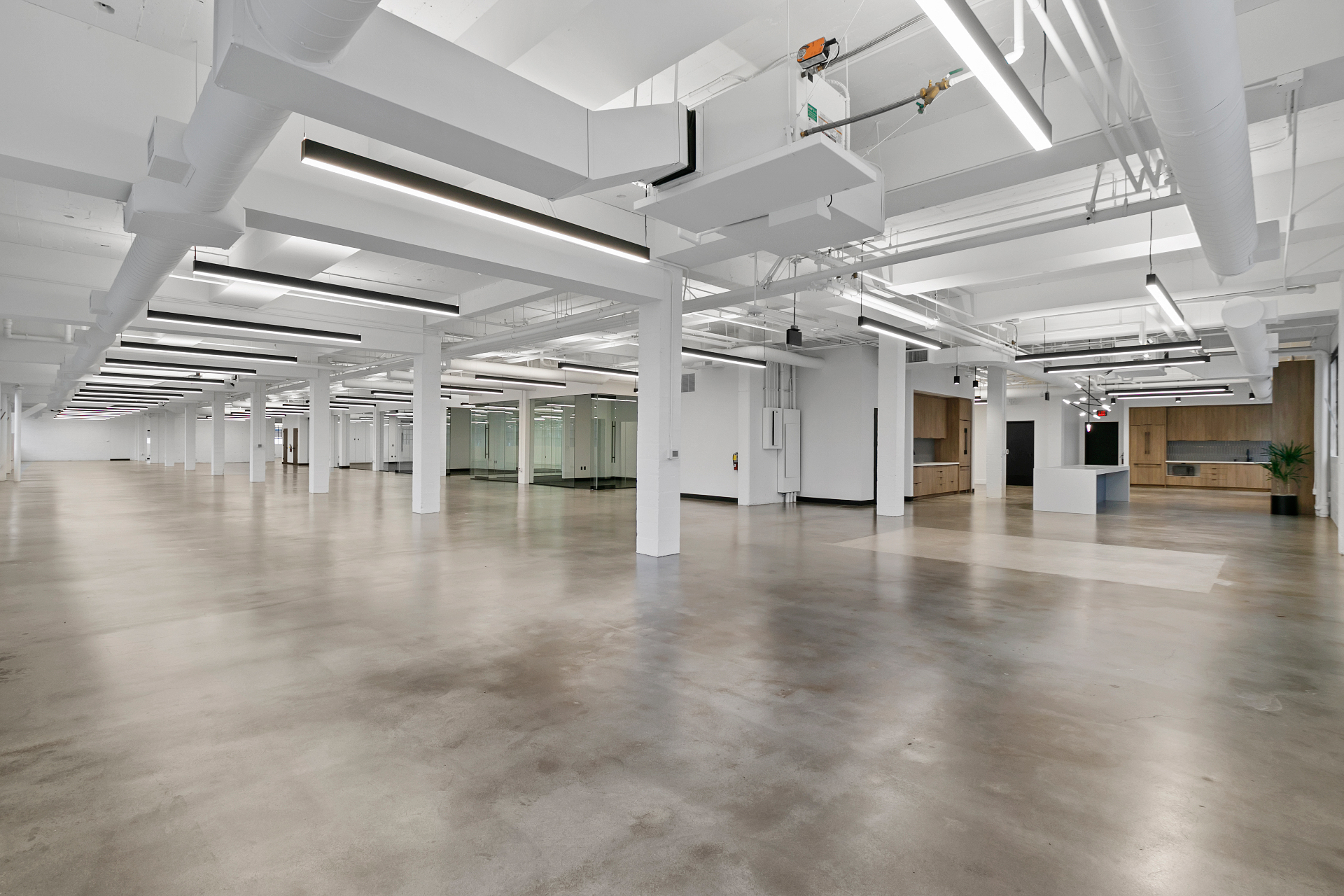 Commercial office space after make good works with polished concrete floors Melbourne