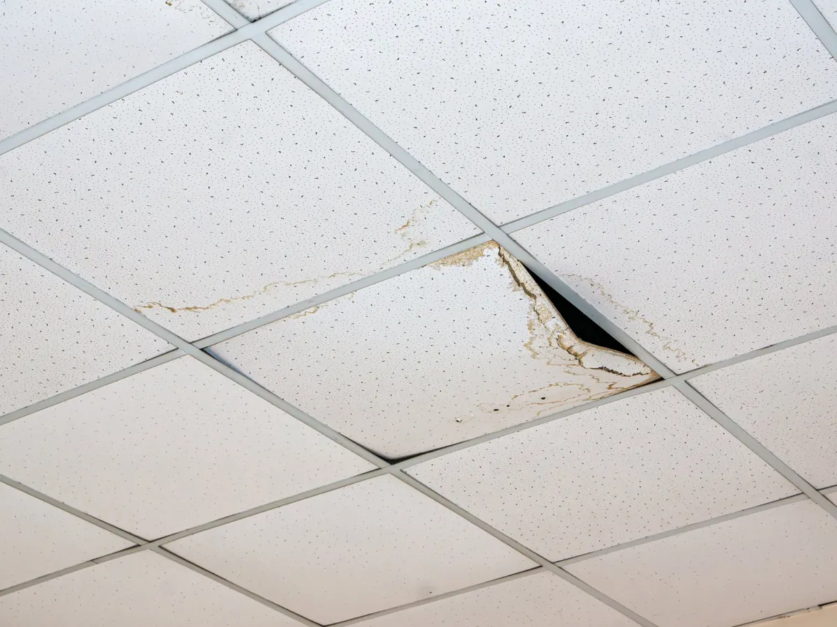 Commercial Roof Leak Repairs Melbourne Water stained and sagging suspended ceiling tiles in a commercial building from a roof leak