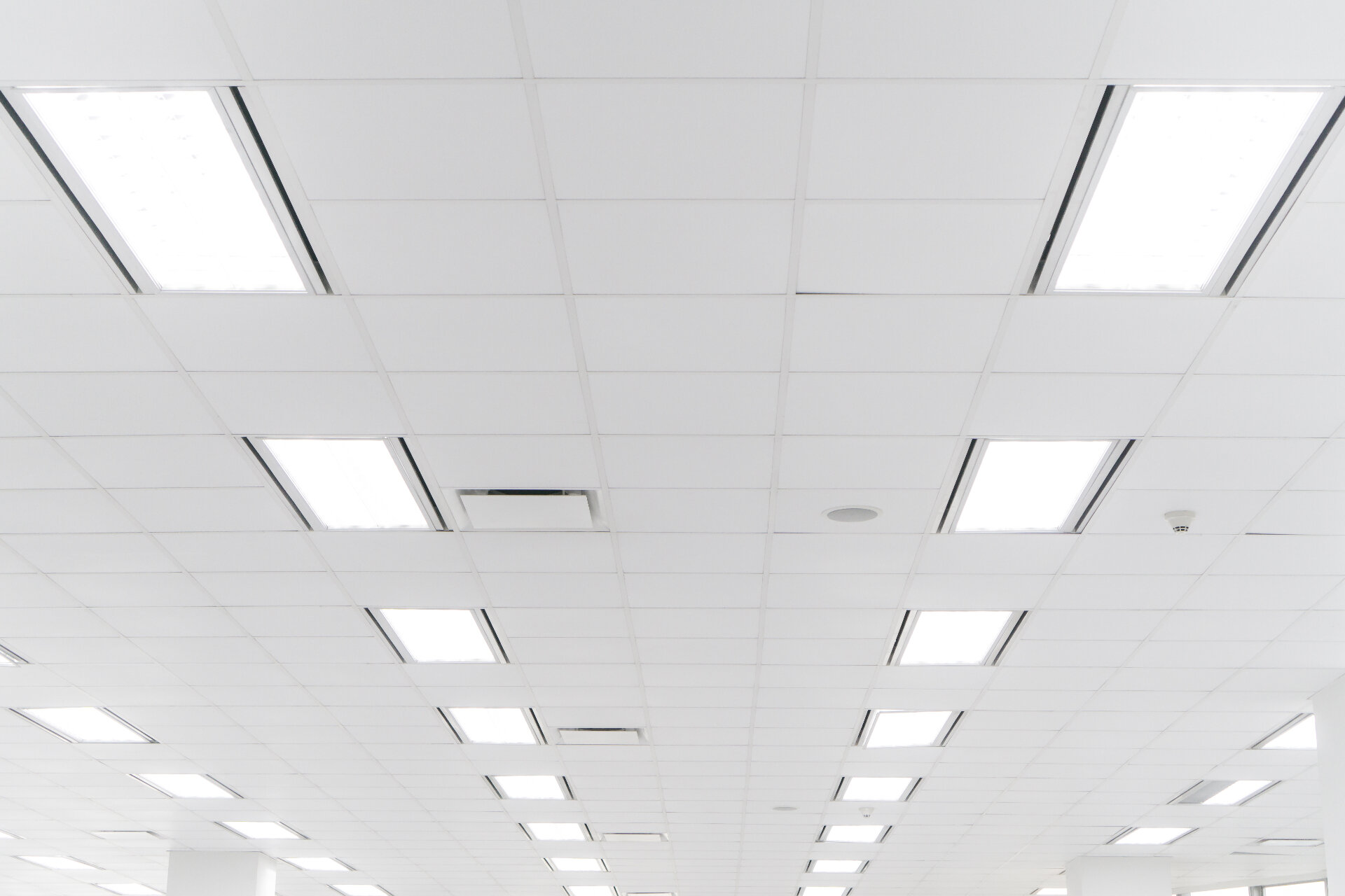 Suspended ceiling grid with white acoustic tiles and rectangular LED panel lights in commercial office Melbourne
